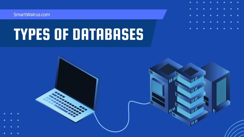Database Types Feature