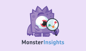 MonsterInsights Plugin Review: Google Analytics in WordPress